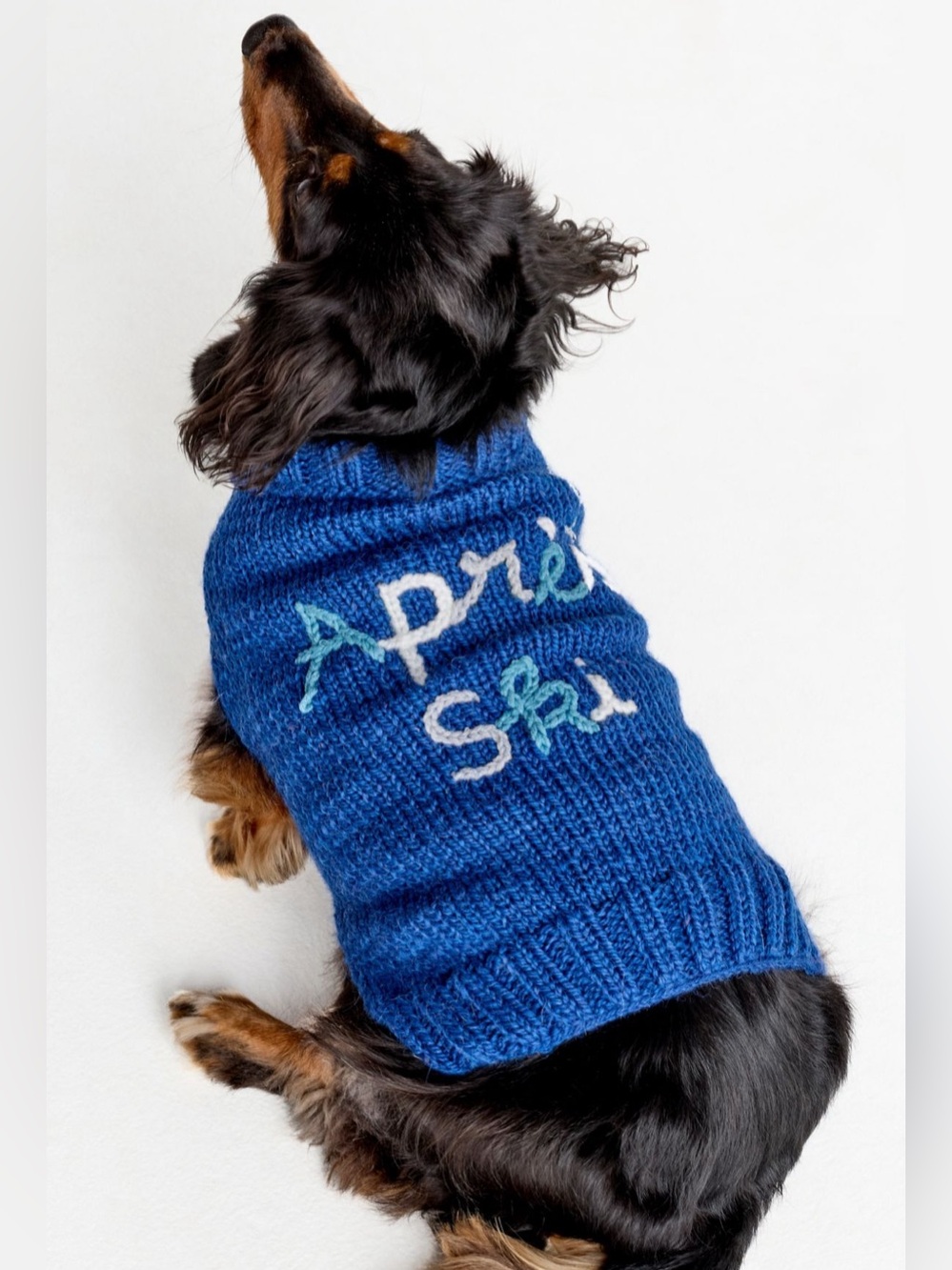 XXL Apres Ski Anthropologie Navy Dog Sweater